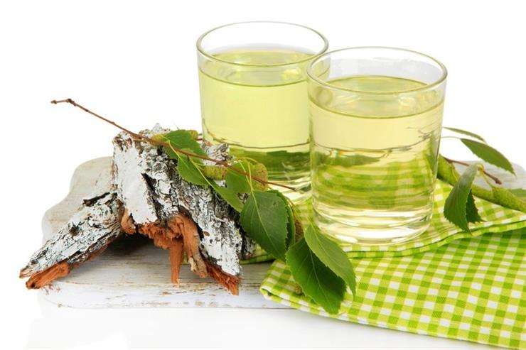 Коли і як правильно збирати березовий сік та для чого його пити