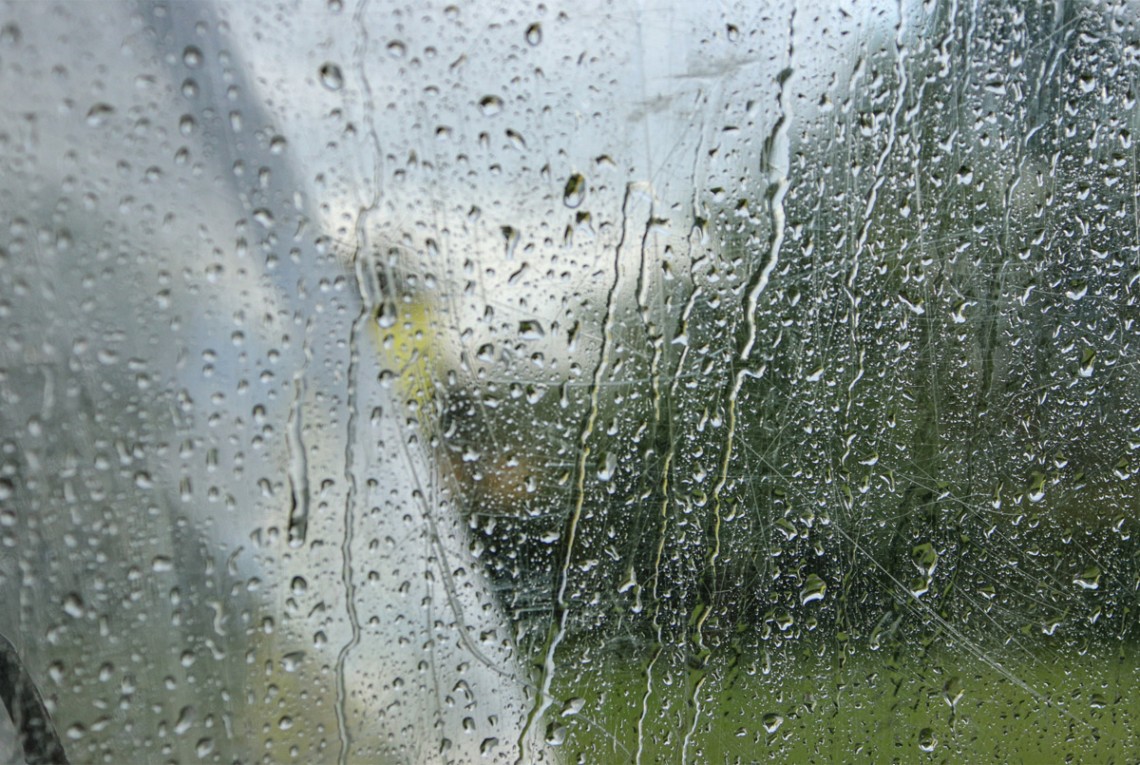 Дожди и прохладные ночи: какой будет погода в Украине 26 марта