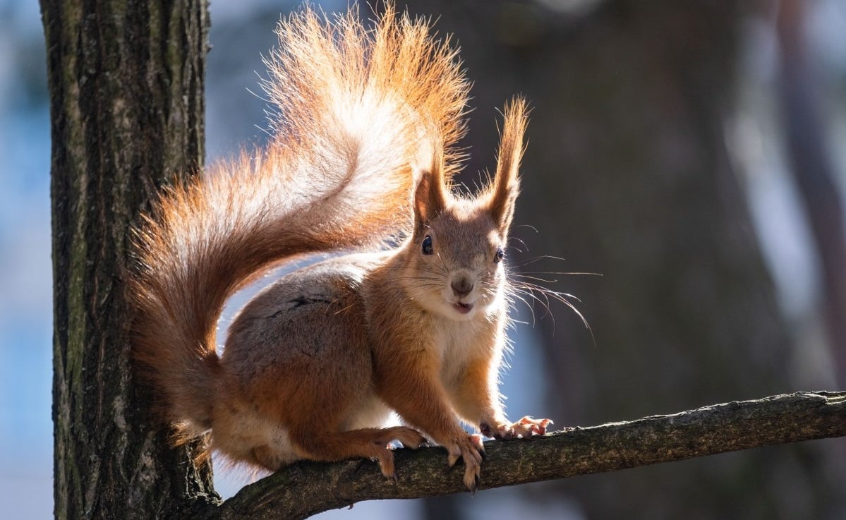 В Украине еще несколько дней будет царить зимняя погода: когда ждать потепления