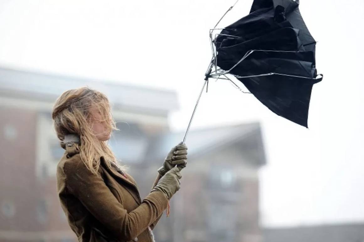 Дождь и сильный ветер: какой будет погода в Украине 28 марта