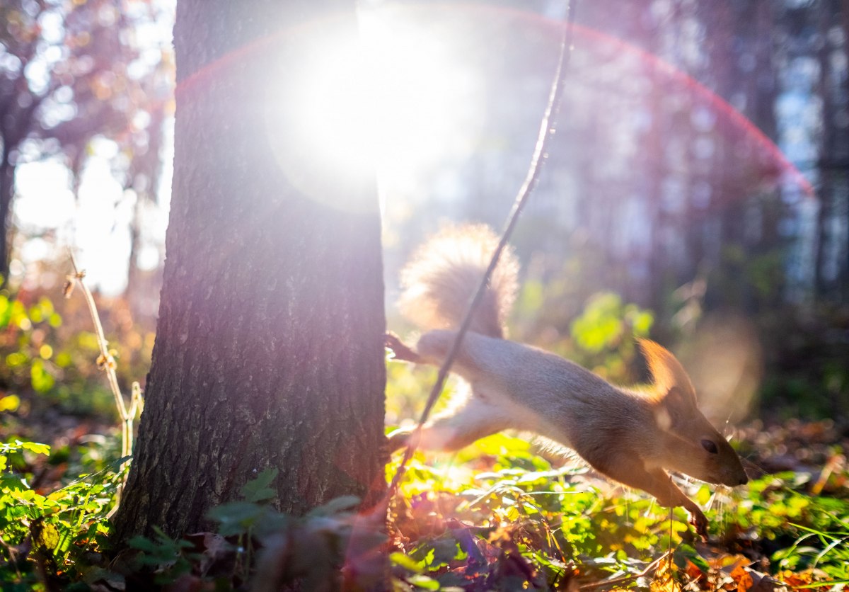 Укргидрометцентр прогнозирует теплый апрель с повышением температуры на 10 градусов