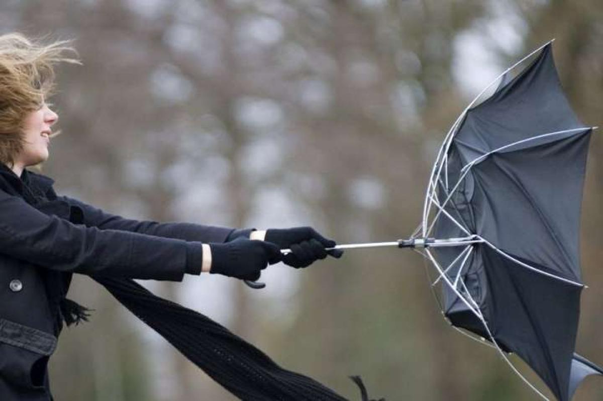 Сильний вітер і потепління: прогноз погоди на 5 березня в Україні