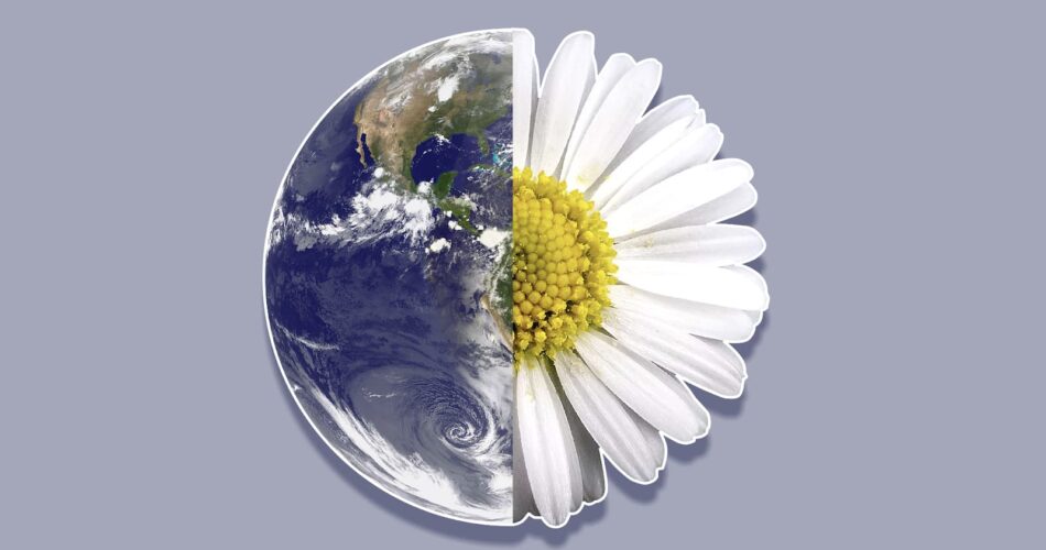 Весеннее равноденствие 20 марта: значение и традиции этого дня