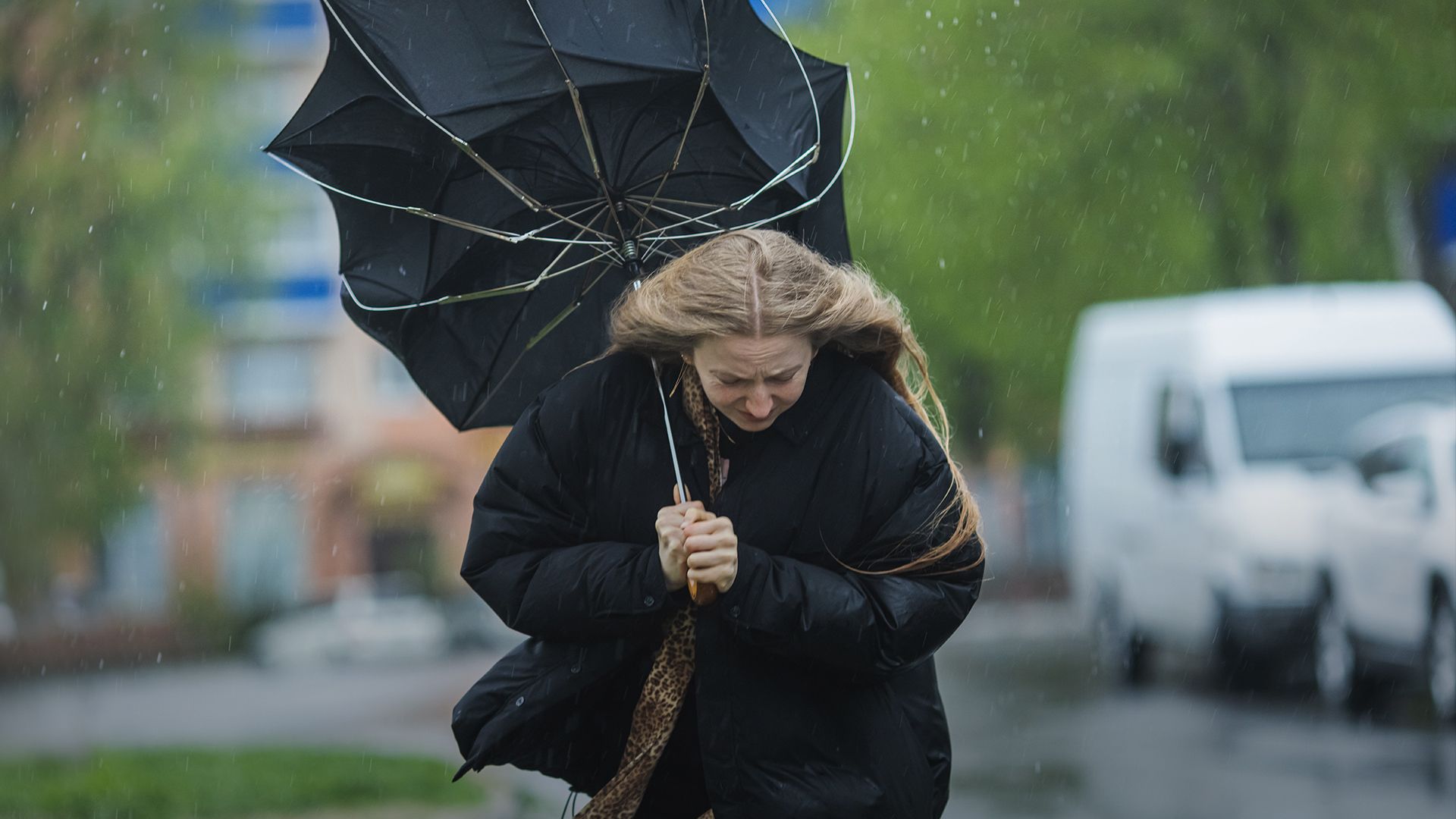 Синоптики предупреждают о штормовом ветре и дождях 29 марта: где ухудшится погода