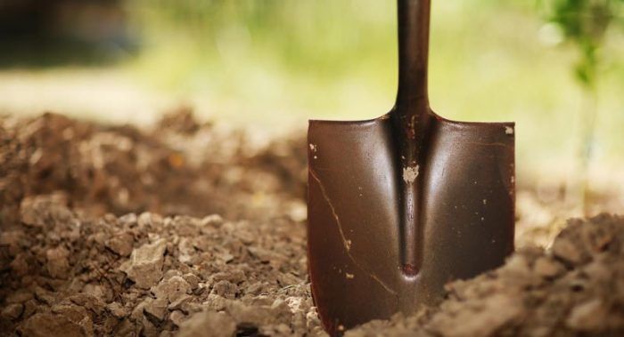 Чи треба перекопувати город навесні: корисні поради