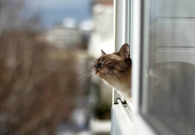 Весеннее тепло задерживается: когда в Украине улучшится погода