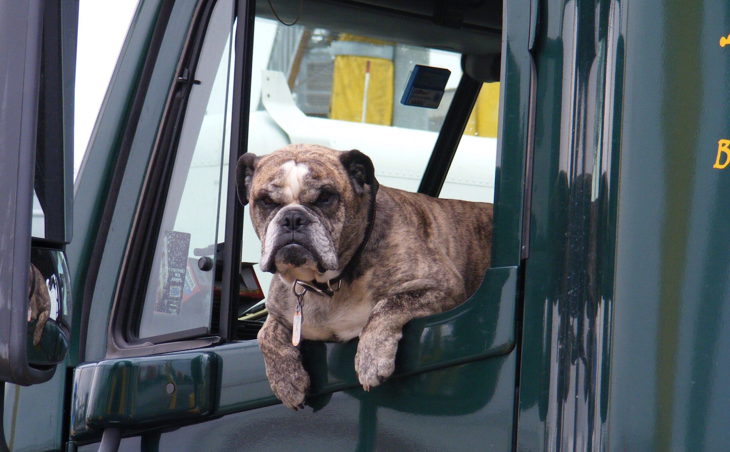 До +20° і сонячно: в Україні очікується тепла весняна погода на 8 березня