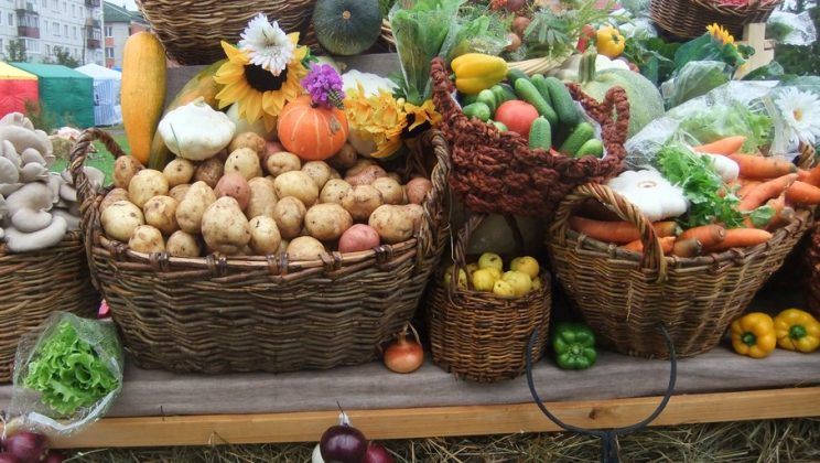 Продуктовые ярмарки в Киеве 11-16 марта: где и когда будут проходить