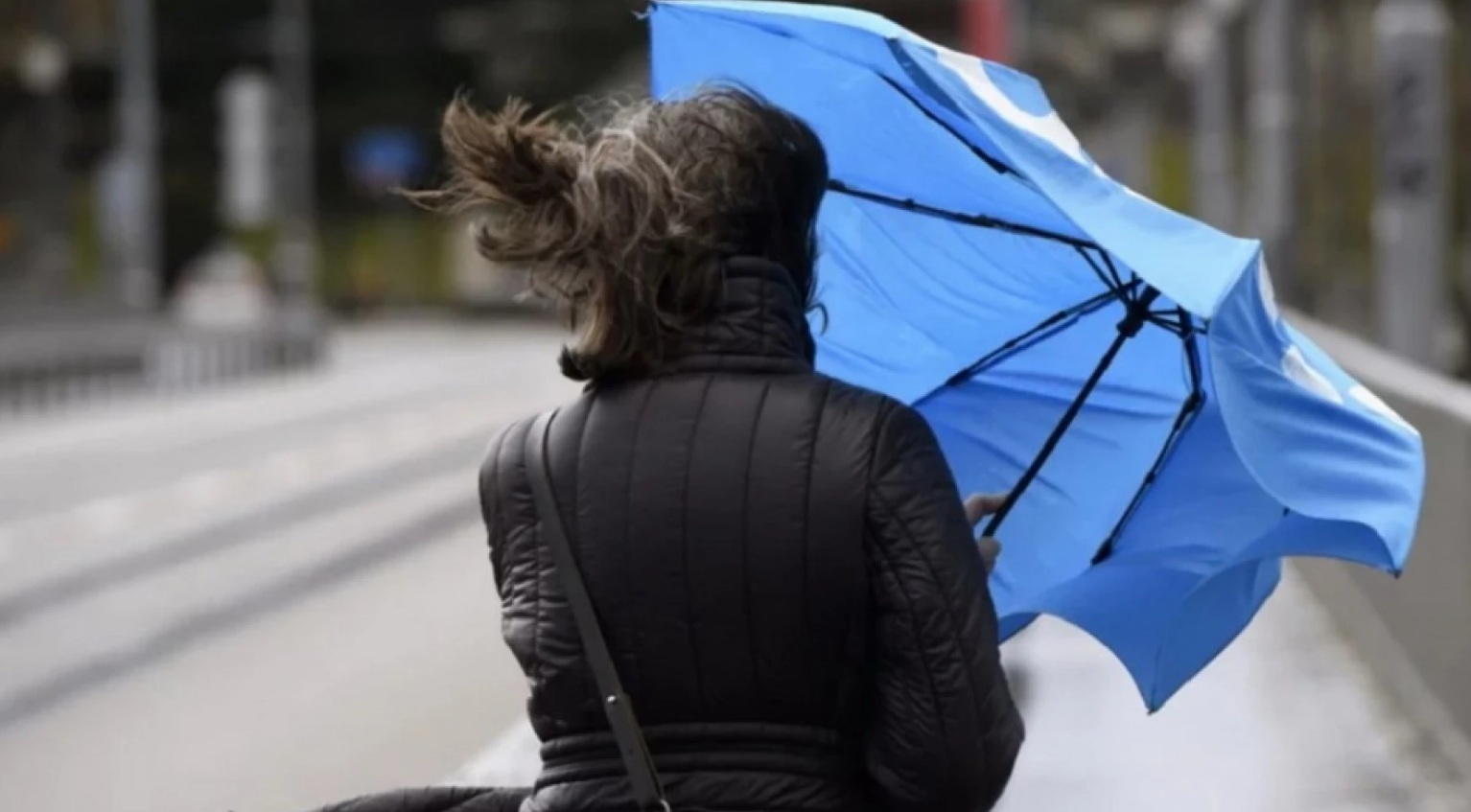 Синоптики анонсировали смену ветреной погоды на теплую весеннюю