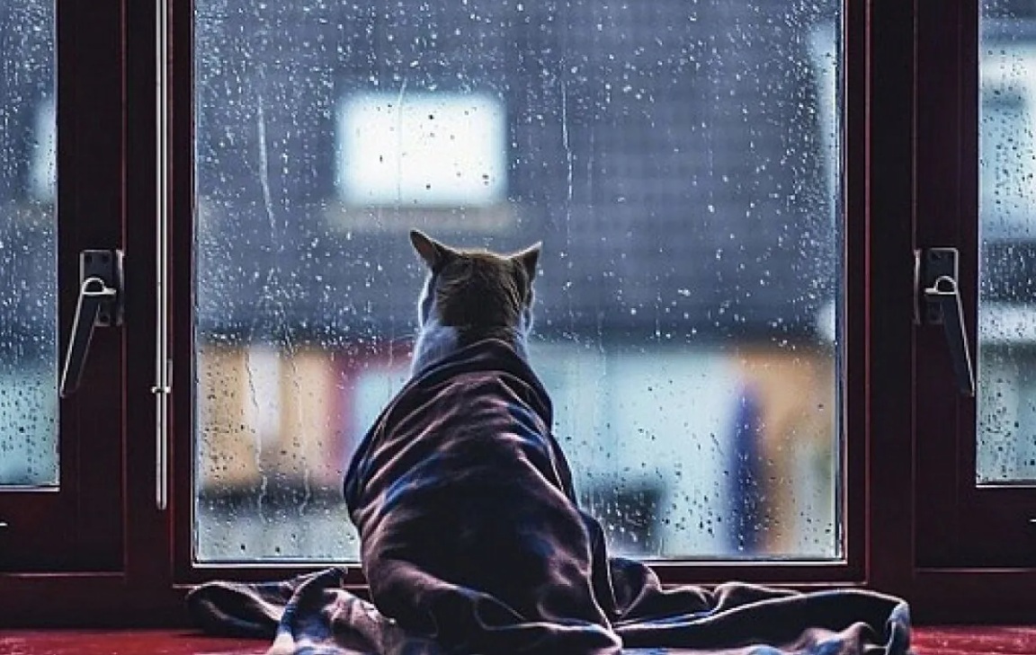 Прогноз погоды на 27 марта: тепло, но с дождями в нескольких областях