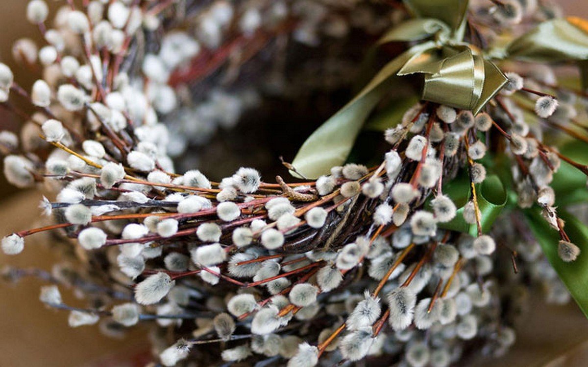 Погода на Вербное воскресенье: в Украине без осадков, но с ночными заморозками