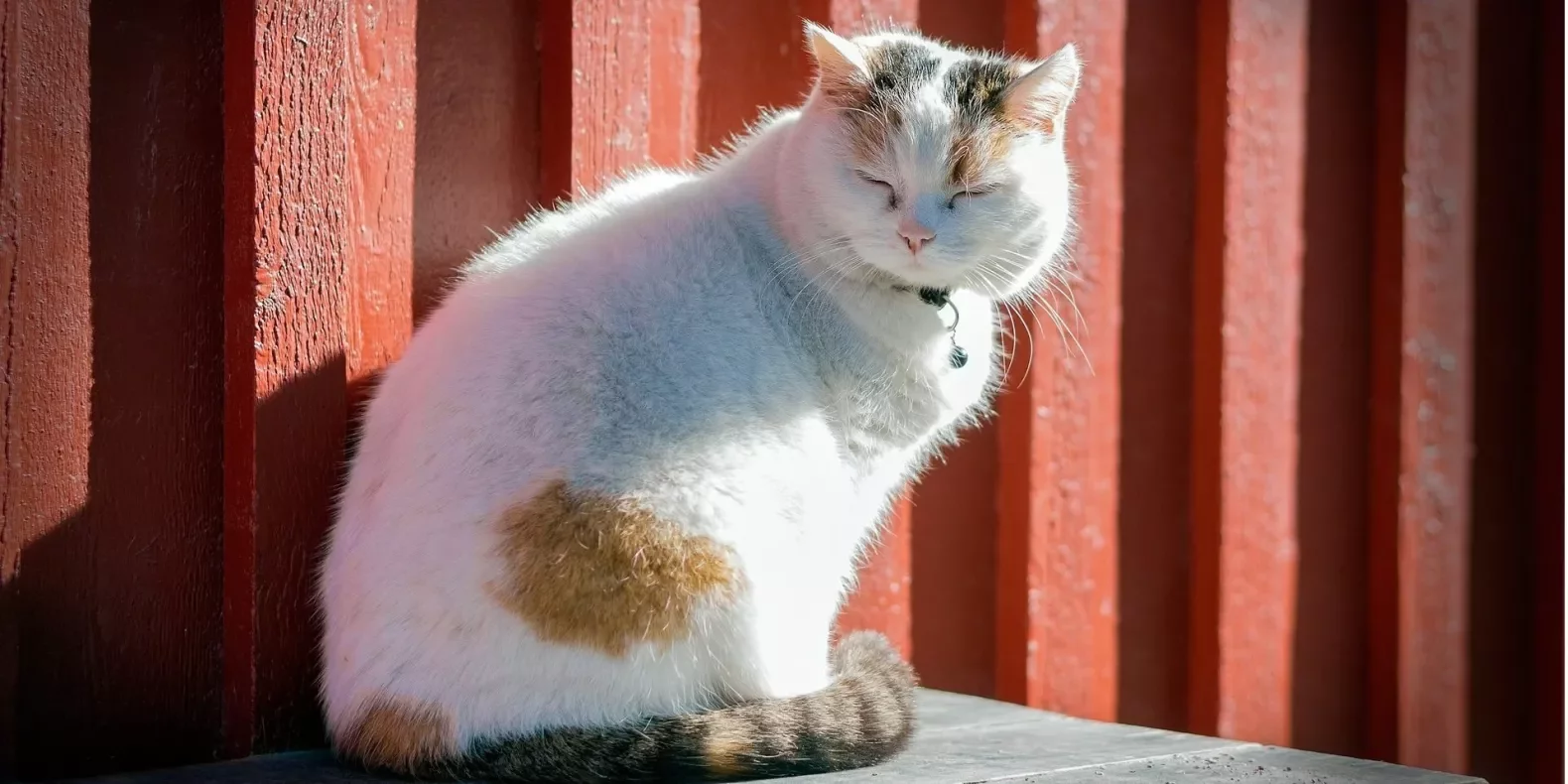 Антициклон приносить потепління: якою буде погода в Україні цього тижня