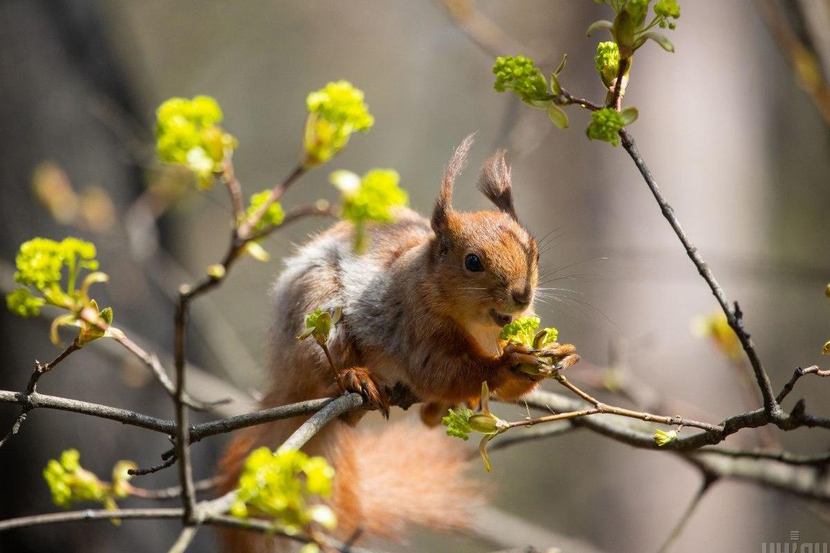 Прогноз погоды на 23 апреля: в Украине до +26°C, местами дожди и грозы