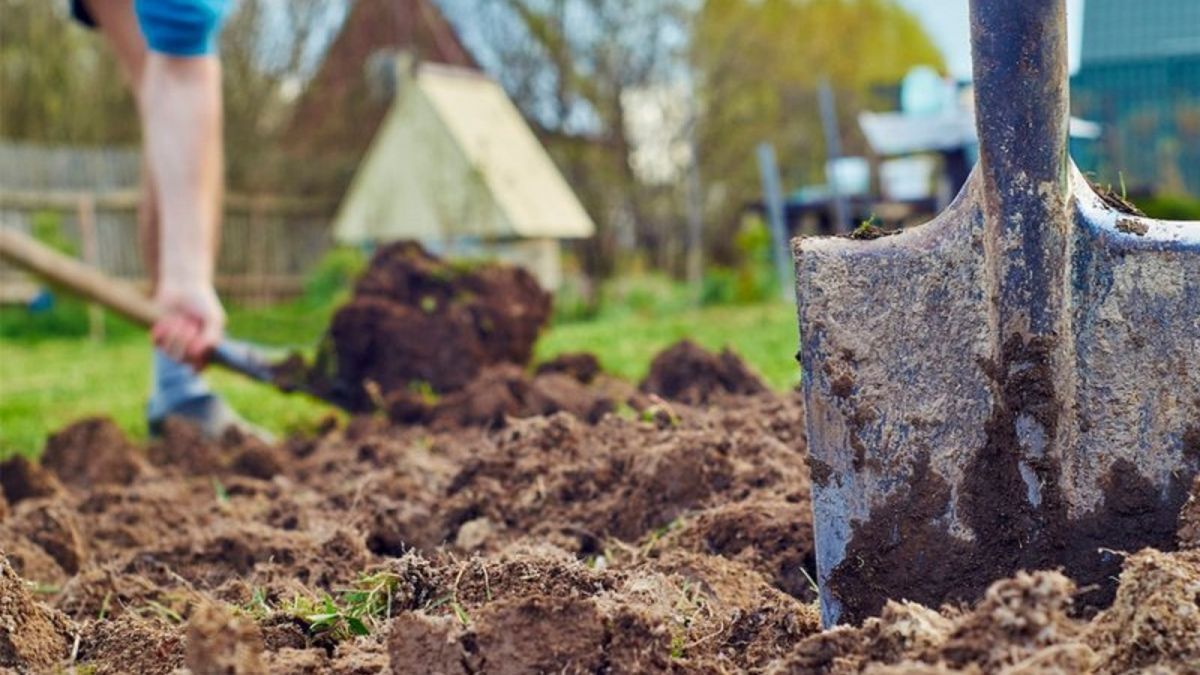 Чи можна працювати на городі після Великодня 2025 року — пояснення священників і традиції