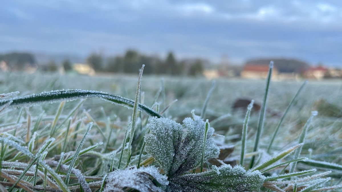 Похолодание и заморозки: прогноз погоды в Украине 27 апреля