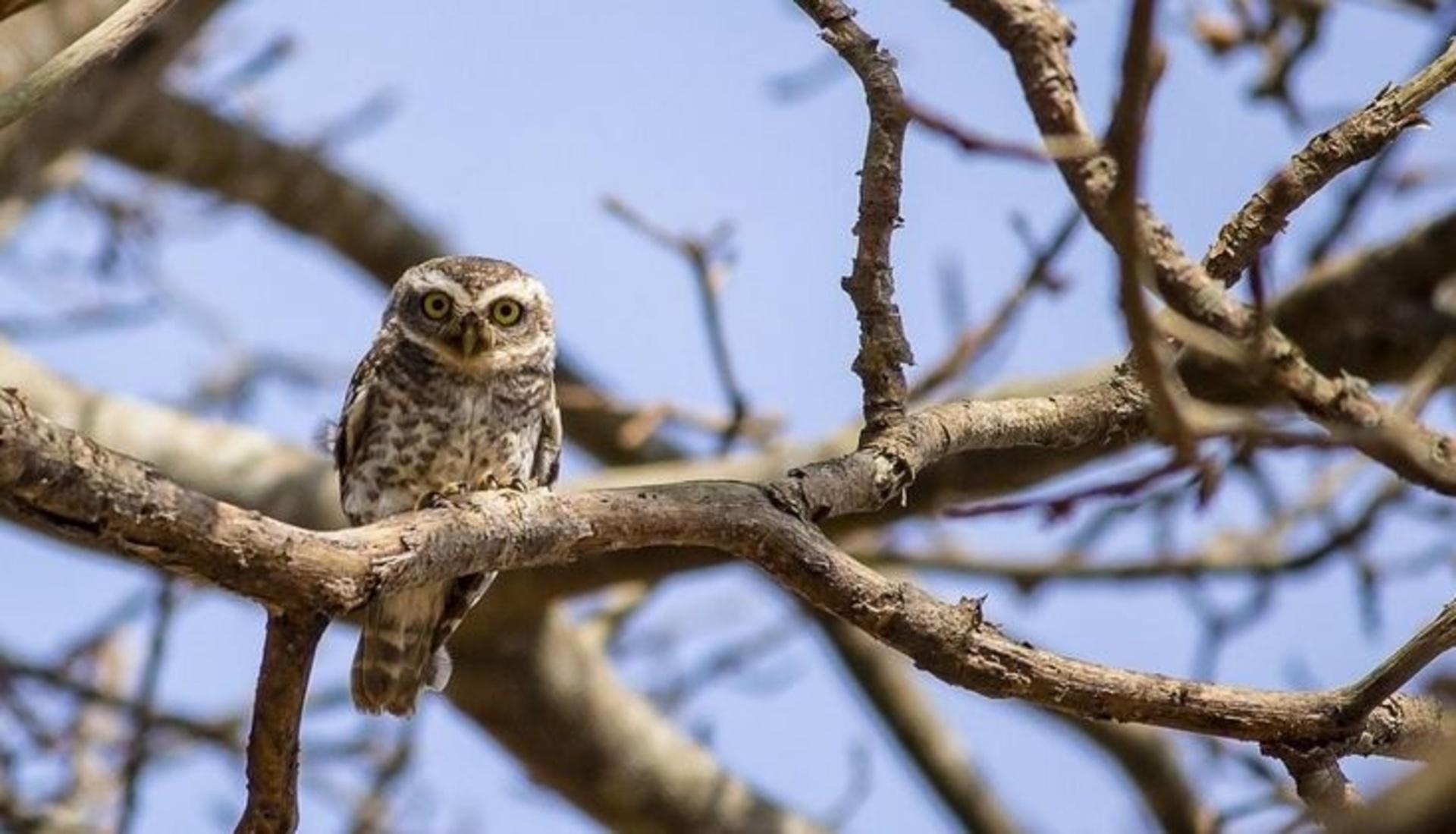 Украина 22 апреля попадет в топ самых теплых стран Европы: до +26°C, но дальше – похолодание