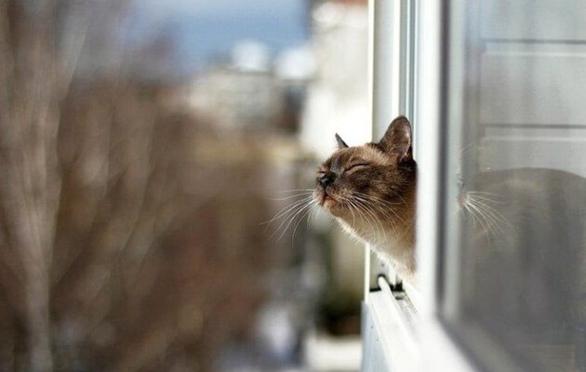 В Украине идет потепление: ожидается до +19 градусов в ближайшие дни