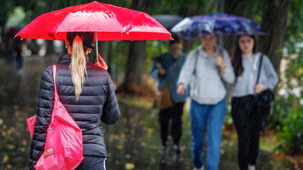 Украину покроют дожди, грозы и заморозки: где ждать непогоды 26 апреля