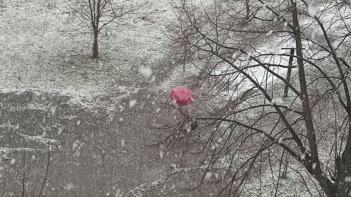 Сніг, дощ та заморозки: якою буде погода 10 квітня в Україні