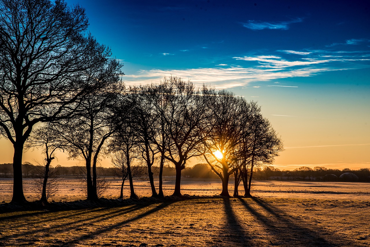 Погода в Украине резко изменится в конце апреля: синоптик предупредил о похолодании после аномального тепла