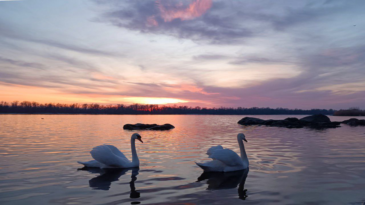 4 апреля в Украине будет тепло и солнечно, но уже через день погода резко изменится