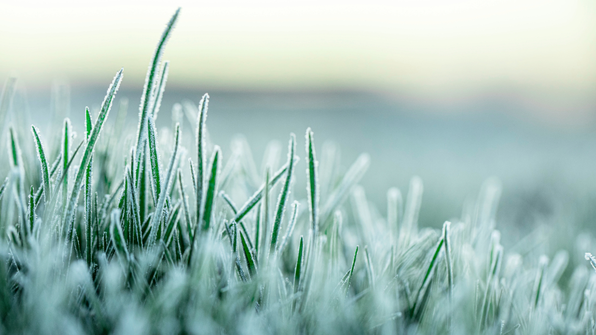 Весна на паузе: ночные заморозки и прохладная среда - прогноз погоды на 9 апреля