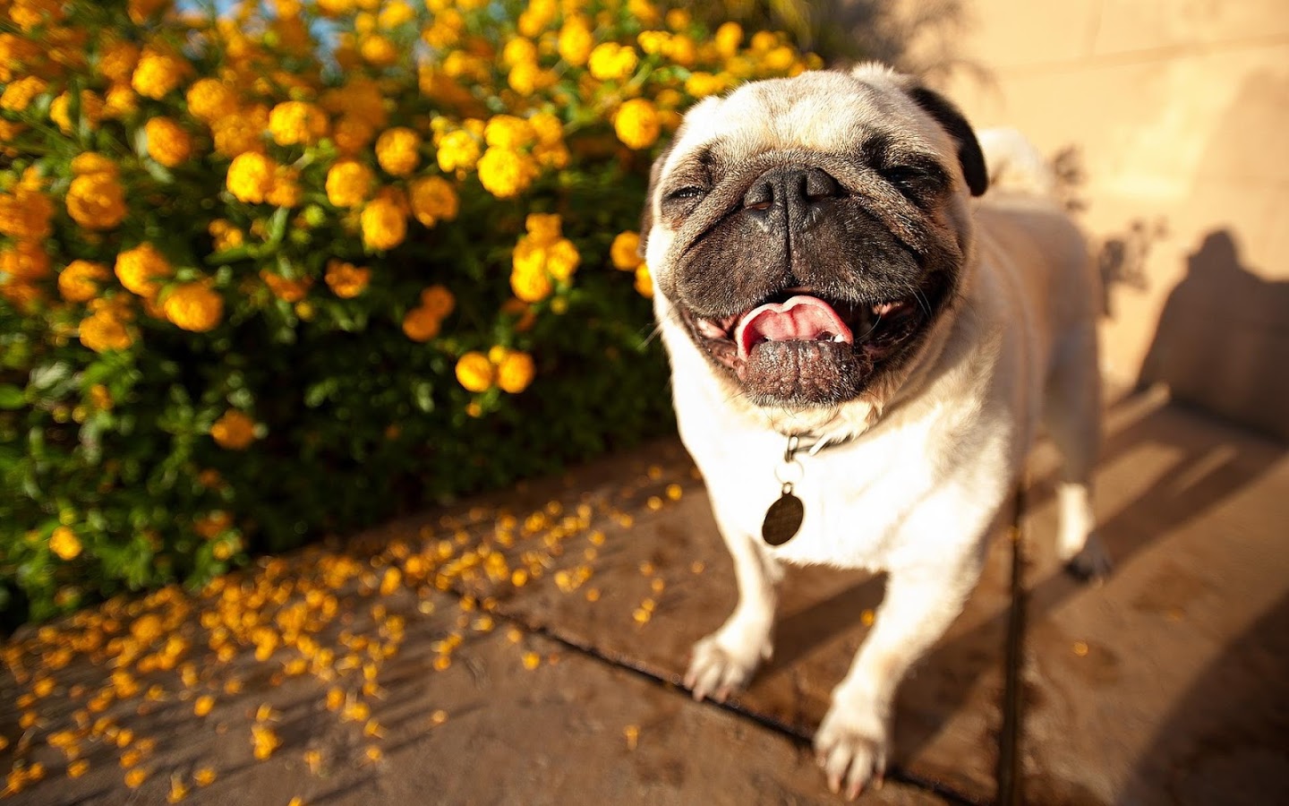 Погода на 21 апреля: в Украине будет по-летнему тепло и солнечно, но с пожарной опасностью