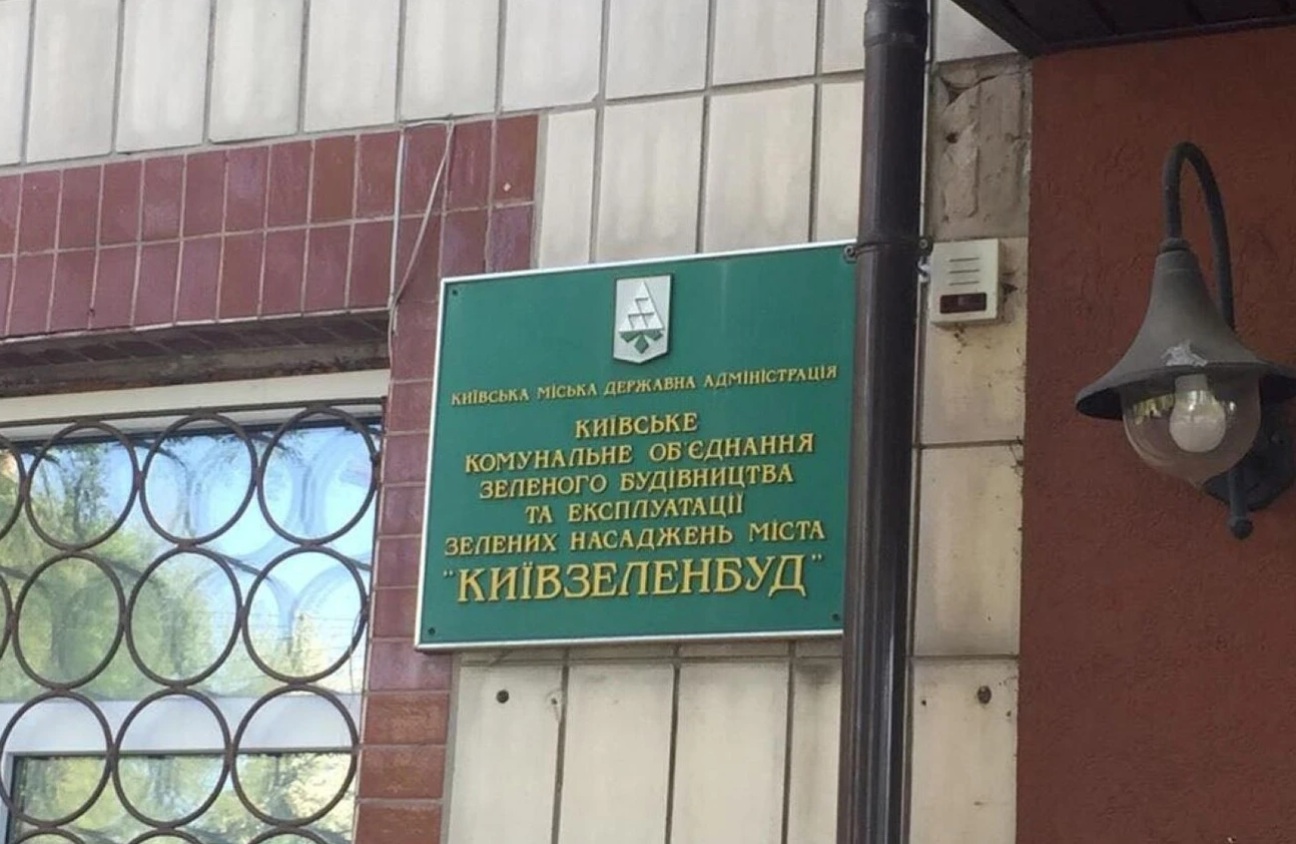 Наличные деньги, недвижимость и скромная зарплата: что задекларировала и.о. главы "Киевзеленстроя" Ольга Манько