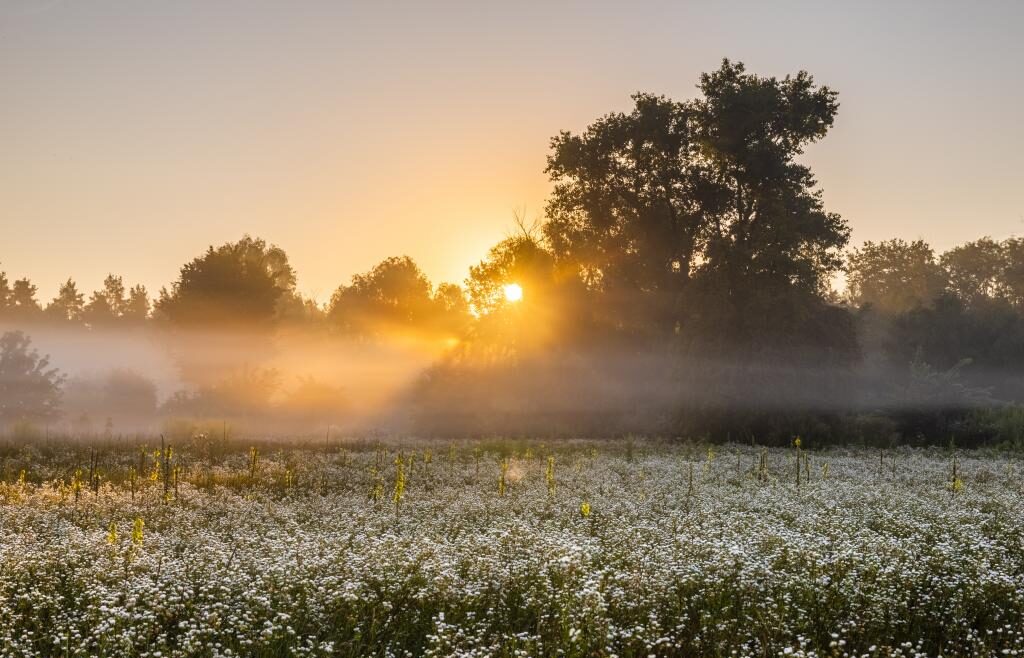 Яке свято 17 травня і хто відзначає сьогодні іменини