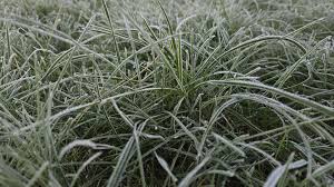 Холод возвращается: заморозки и дожди накроют часть Украины 8 мая