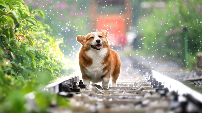 Погода в Украине 31 мая: тепло, но с дождями в отдельных регионах