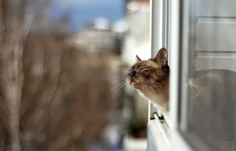 Настоящее потепление в Украине наступит с 20 мая - прогноз синоптиков