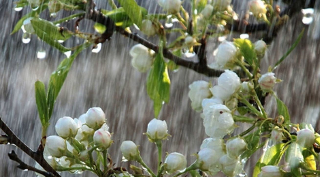 В Україну йдуть дощі та похолодання: прогноз погоди на 5 травня