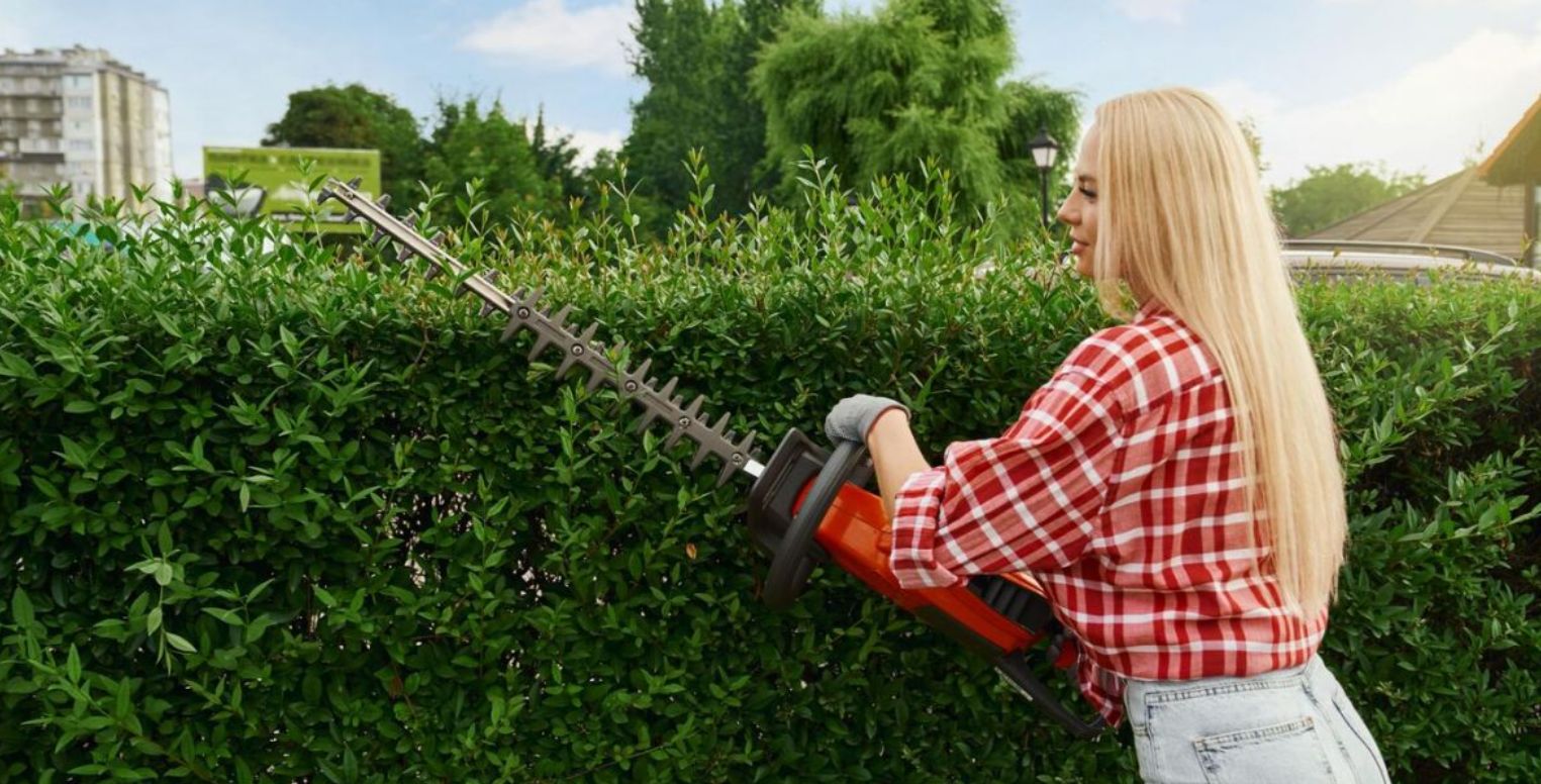 4 поширені рослини, які можуть пошкодити сад та будинок