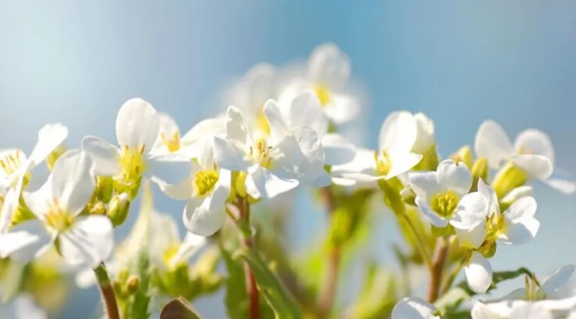 Коли потеплішає в Україні: синоптики прогнозують дощову погоду до середини травня