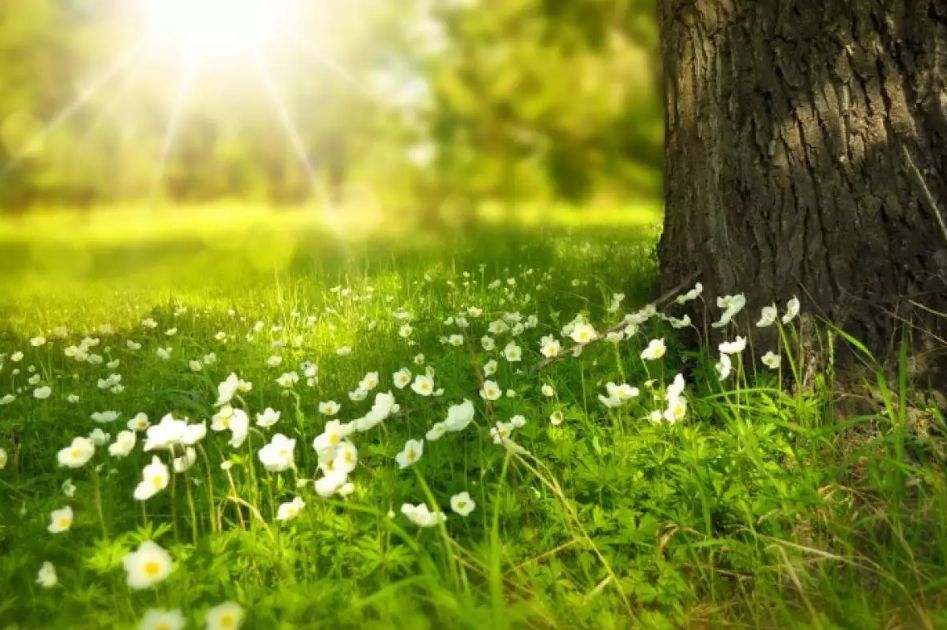 Погода в Украине 12 мая 2025 года: где будет дождь и когда станет теплее