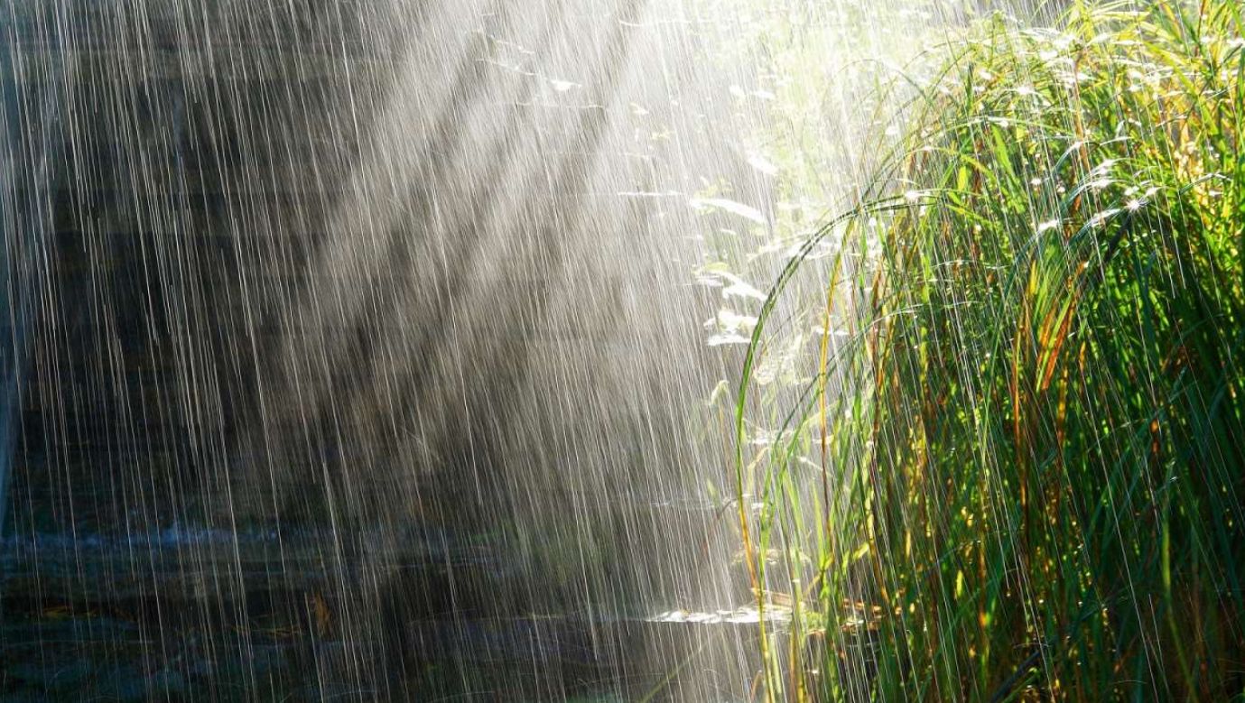 Погода в Украине 18 мая: похолодание, дожди и мокрый снег в Карпатах.