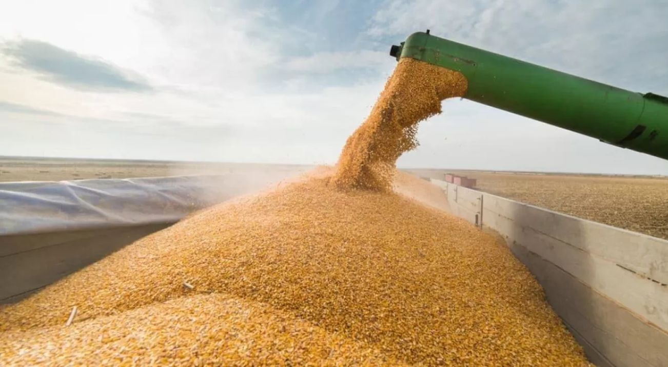 Путін використовує голод як зброю: світ попередили про наслідки знищення агросектору України