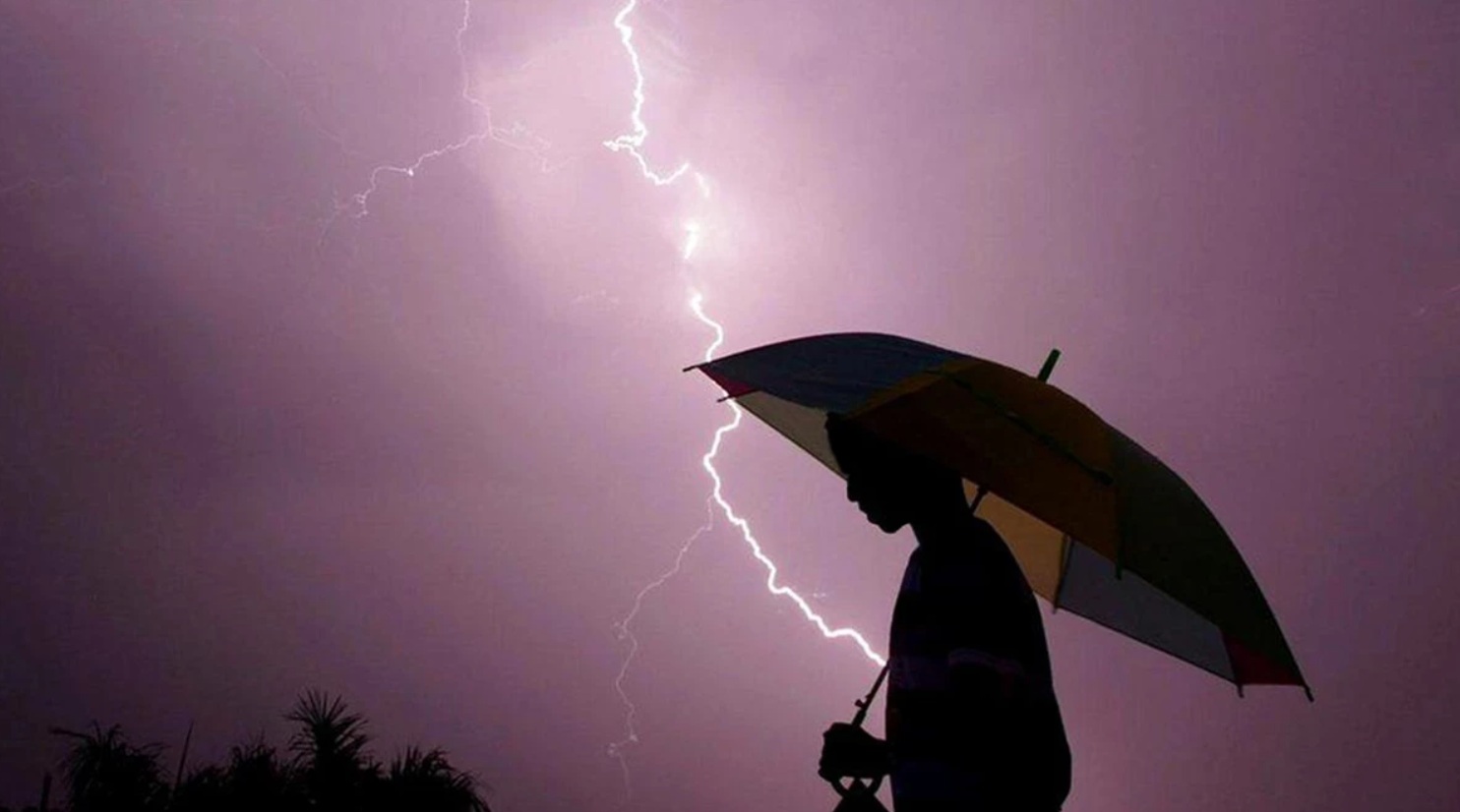 Грози, град і шквали до 20 м/с: якою буде погода в Україні у суботу, 24 травня