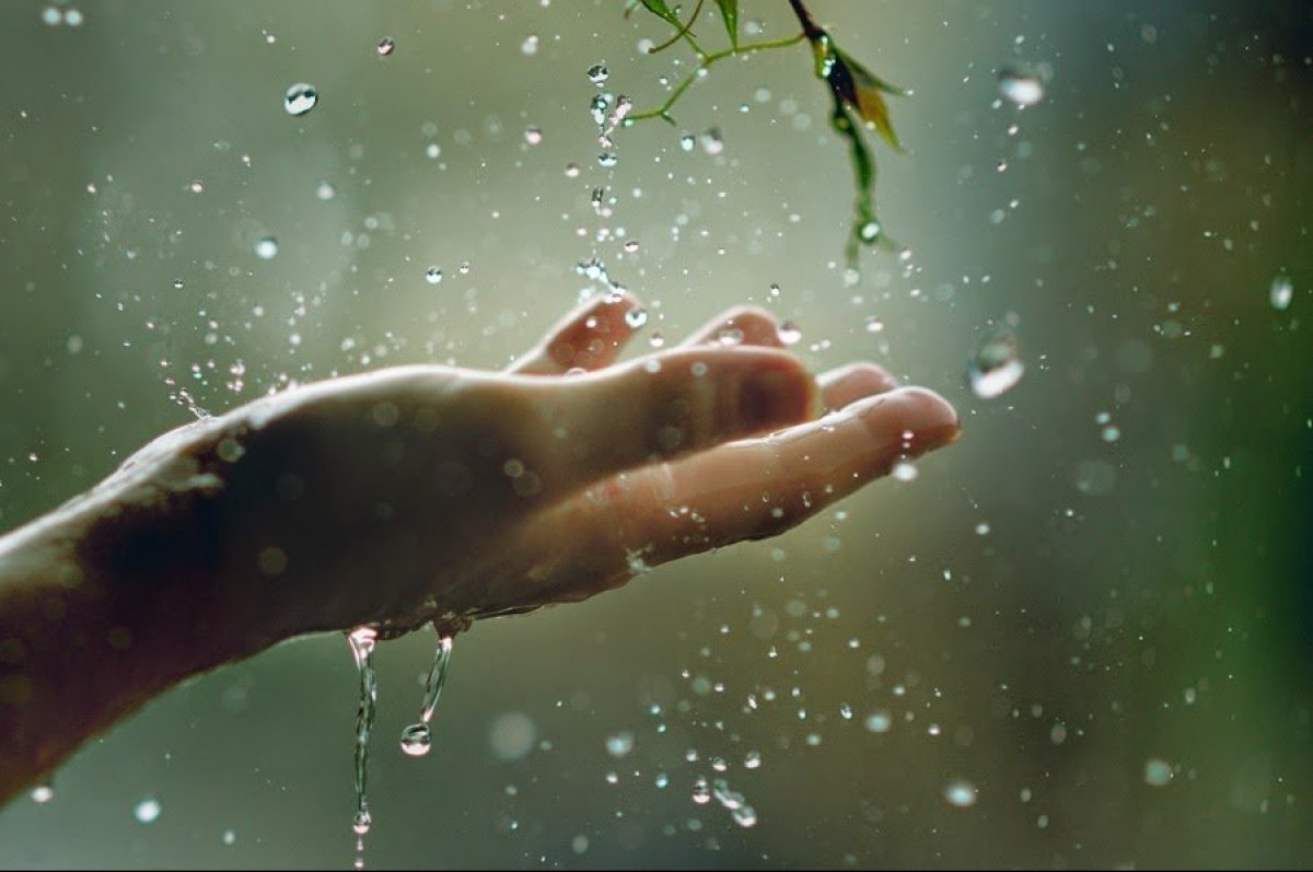 Прогноз погоды на 21 июня: дожди в большинстве регионов и умеренное тепло