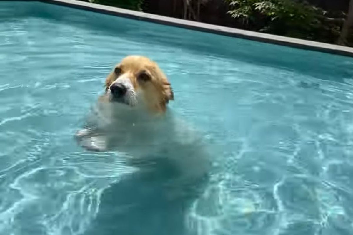 Жара до +34 и внезапные грозы: что прогнозируют синоптики в начале лета в Украине