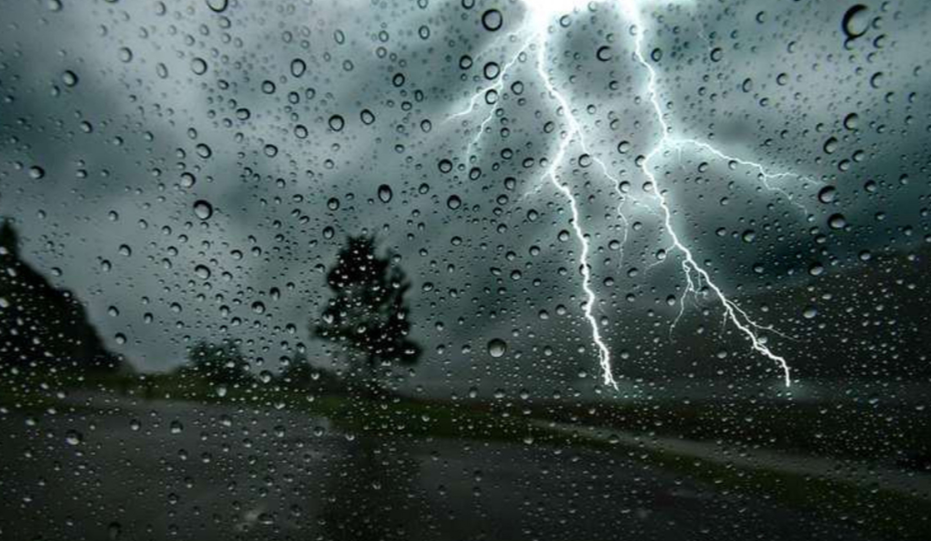 Погода в Україні 24 червня: грози, короткочасні дощі та пориви вітру до 20 м/с