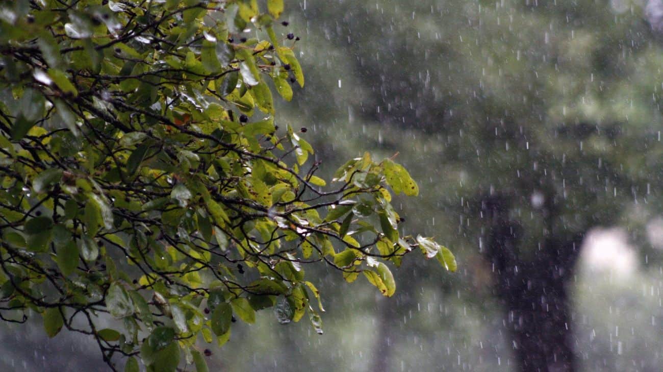 Погода в Украине на 27 июня: до +30, местами грозы и кратковременные дожди