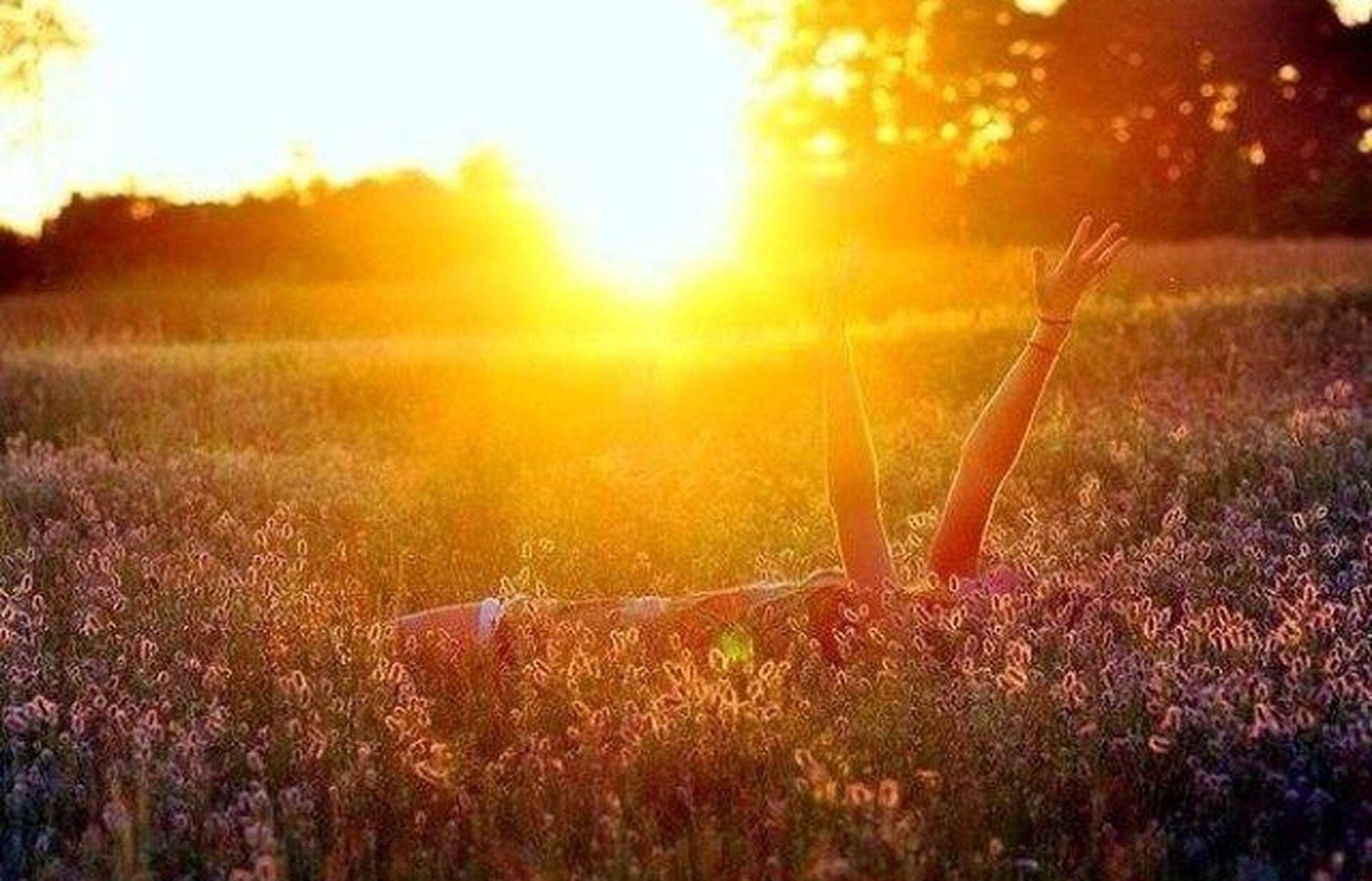 Літо 2025-го буде ще спекотнішим: температура в Україні знову може побити рекорди