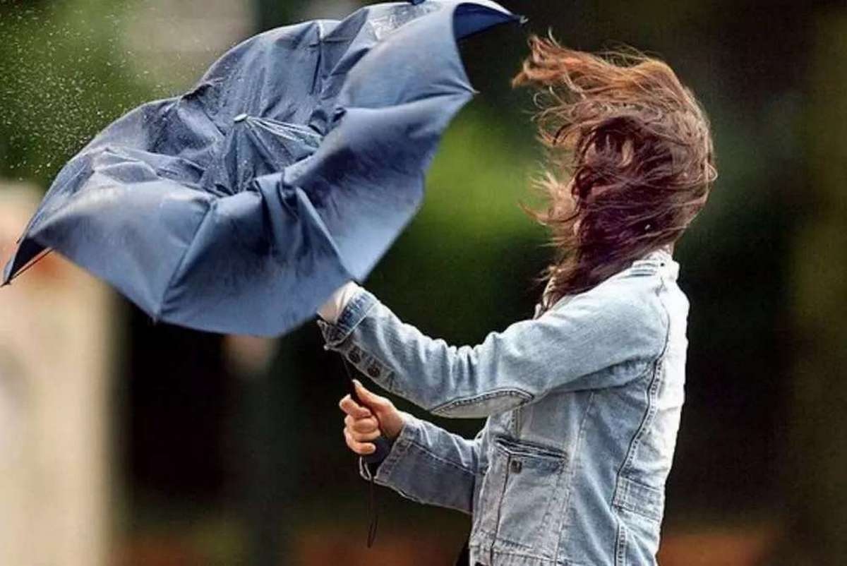 Прогноз погоды в Украине на 23 июня: грозы, ветер и летнее тепло