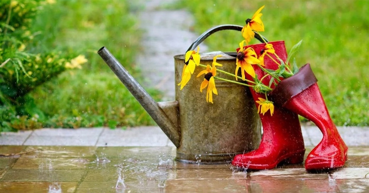 Погода в Украине 18 июня: кратковременные дожди, грозы и до +29 градусов тепла