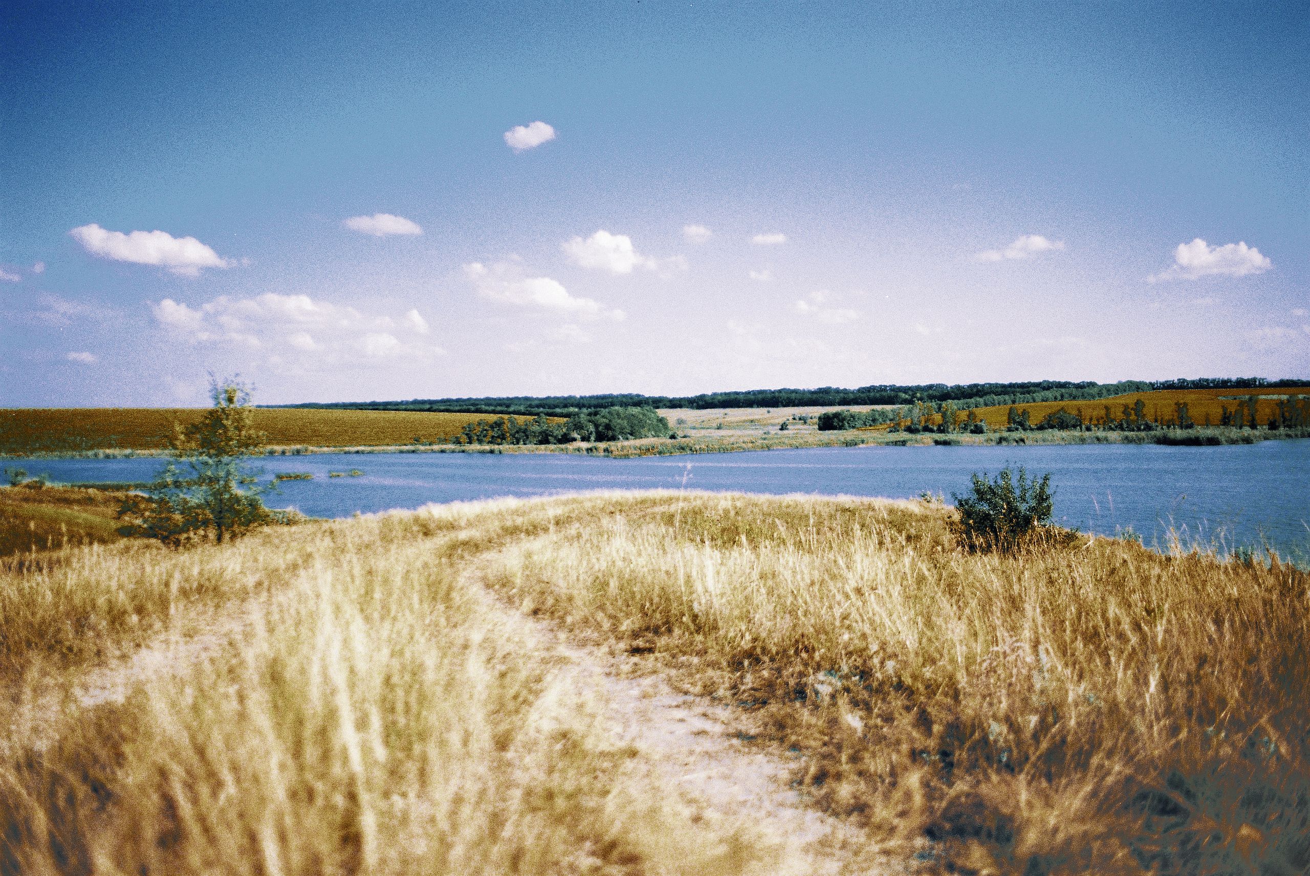 Якою буде погода в Україні на вихідних 7–8 червня: синоптичний прогноз