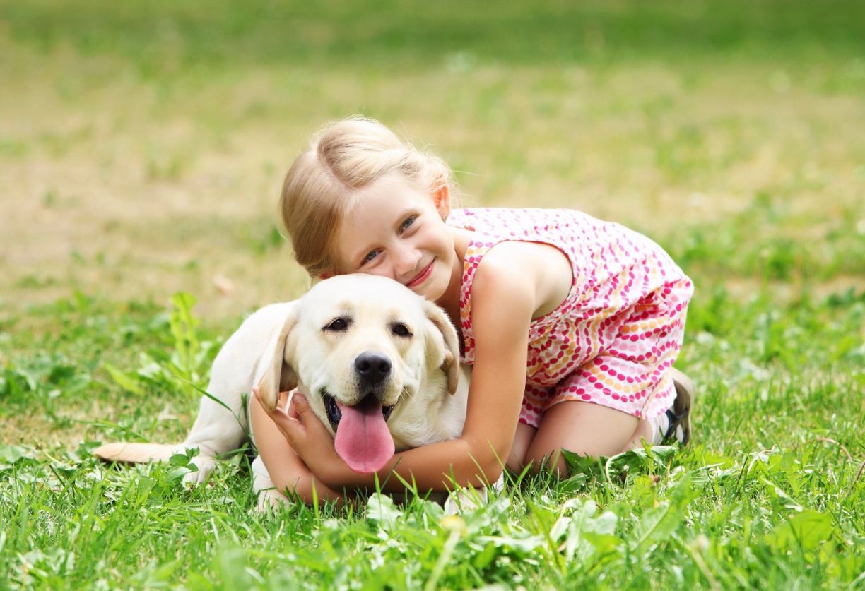 Які породи собак не найкраще ладнають з дітьми: експерт назвав три потенційно проблемні варіанти