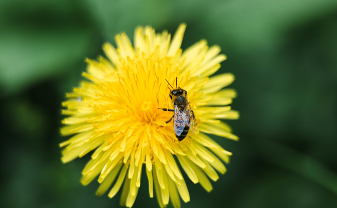 Облачно с прояснениями, возможны осадки и грозы: прогноз погоды на 2 июня