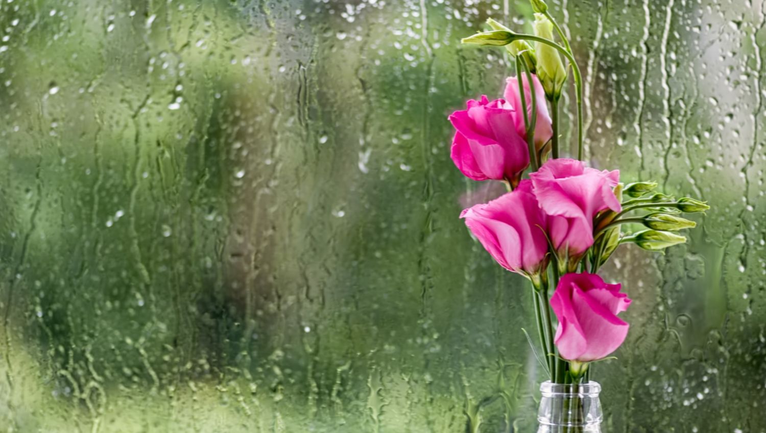 Грозы, жара и похолодание: какой будет погода в Украине 9 июня